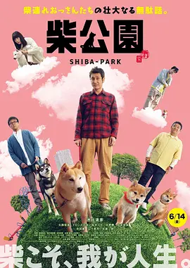 麻豆视频网站入口