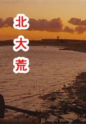 成年人在线视频免费观看